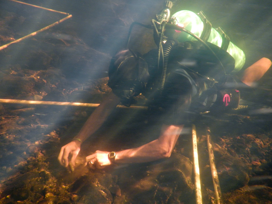 placing mussels